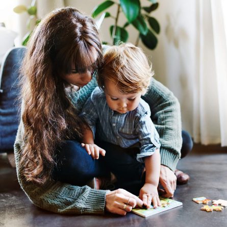 Quebra-Cabeça de Bebê - Primeiras Formas de Aprendizagem para